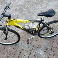 Mountain bike