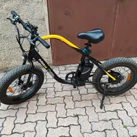 biciclette electrica