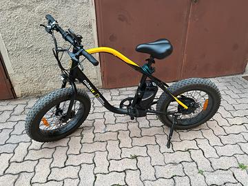 biciclette electrica