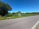 ter-agricolo-a-seregno