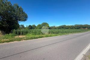 TER. AGRICOLO A SEREGNO