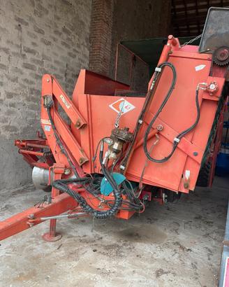 Scavapatate Carlotti