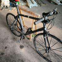 city bike b. twin 