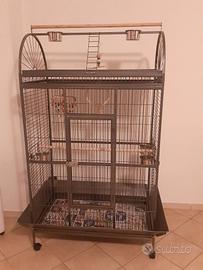grande gabbia per pappagalli 