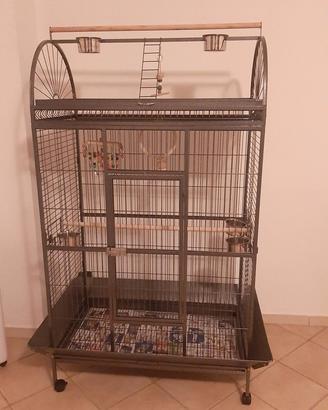 grande gabbia per pappagalli 