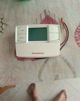 Immergas Car v2 