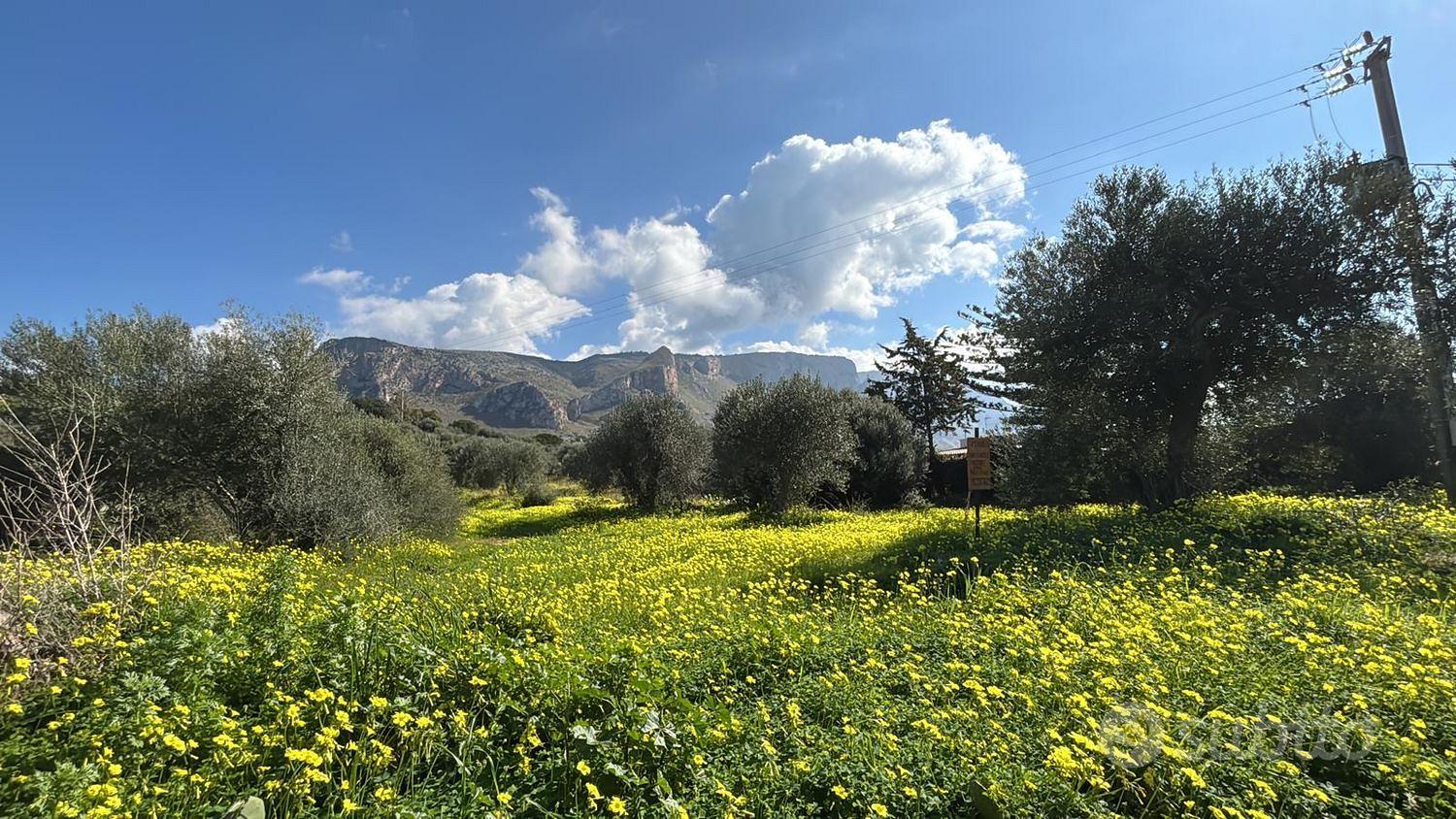 Terreno, Terrasini. - Vista 5