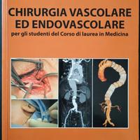 Regina, Chirurgia vascolare ed endovascolare