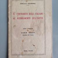 Contributo Italiani al Risorgimento dell'Egitto