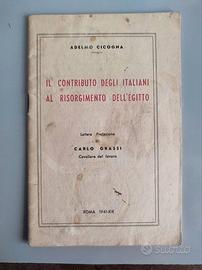 Contributo Italiani al Risorgimento dell'Egitto