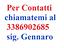 Immagine 3
