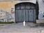 Immagine 8