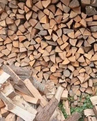 legna da ardere Seca