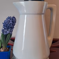 Caraffa Richard Ginori  anni 1910 1930