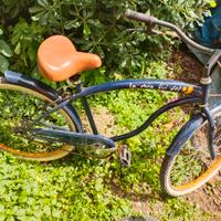 bici americana 