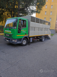 Iveco Eurocargo 80.15