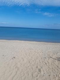 Appartamento vicino mare