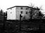 Immagine 7
