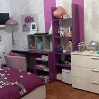 Cameretta viola
