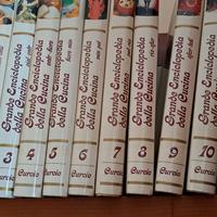enciclopedia della cucina curcio