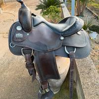 Sella big horn
