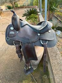 Sella big horn