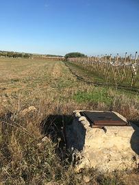 Terreno contrada Fontignano