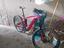 Immagine 1