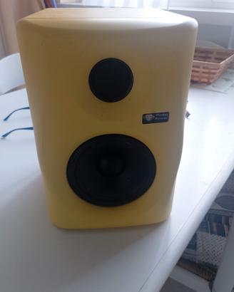 cassa professionale 