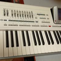 Tastiera Korg PA2X PRO con hard disk  scheda video