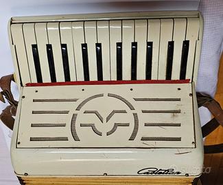 fisarmonica da assemblare 