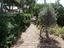 Immagine 8