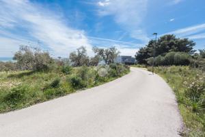 TER. AGRICOLO A VIESTE