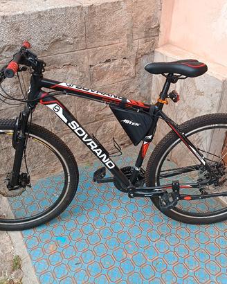 bicicletta