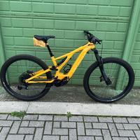 Specialized  turbo levo