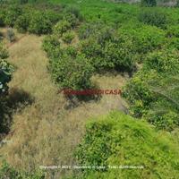 Terreno, Sant'Antonio - Villarosa, Bagheria.