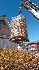 legna TAGLITA E SPACCA DI CARPINO NERO