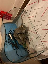 Acquario/ tartarughiera