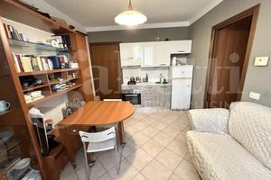 Appartamento Parma [BiloBgoGuastiVRG] (Oltretorren