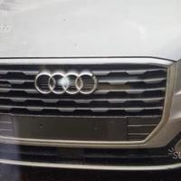 Audi q2 ricambi