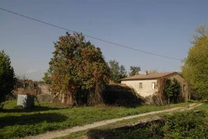 Rustico / Casale di 260 m² con più di 5 locali a S