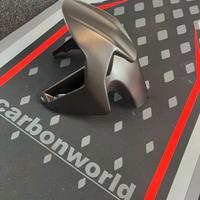 Parafango anteriore carbon Panigale Streetfighter