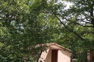 Annesso agricolo