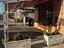 Immagine 5