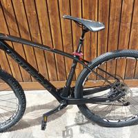 Bottecchia zoncolan 