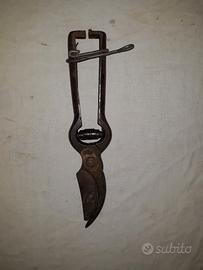 forbice in acciaio per potatura 