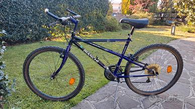 Bici Bianchi ragno thomisus