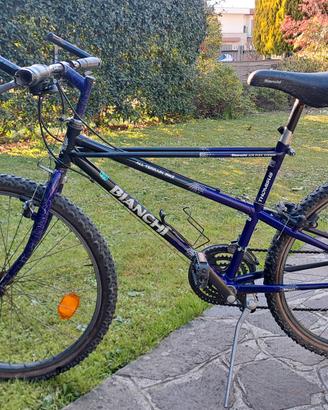 Bici Bianchi ragno thomisus