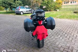 BMW r1200r