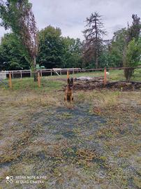 AZIENDA AGRICOLA A INZAGO